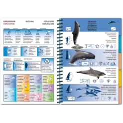 LIVRE PICTOLIFE ATLANTIQUE Immergeable 6 LIVRE PICTOLIFE ATLANTIQUE Immergeable -Équipement De Plongée LIVRE PICTOLIFE ATLANTIQUE immergeable 978 2 9527809 2 6 1