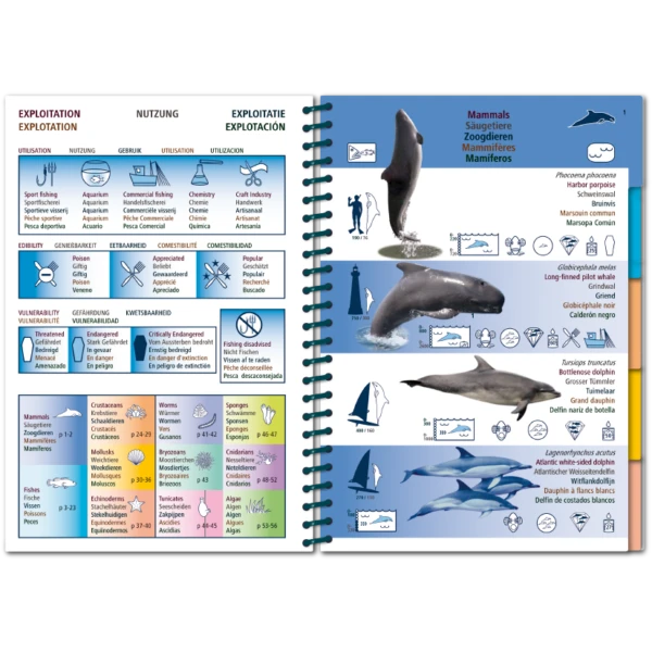 LIVRE PICTOLIFE ATLANTIQUE Immergeable 4 LIVRE PICTOLIFE ATLANTIQUE Immergeable – Image 2