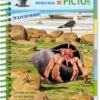 LIVRE PICTOLIFE MAREE BASSE ATLANTIQUE EST Immergeable