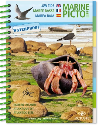 LIVRE PICTOLIFE MAREE BASSE ATLANTIQUE EST Immergeable 3 LIVRE PICTOLIFE MAREE BASSE ATLANTIQUE EST Immergeable