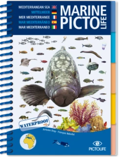 LIVRE PICTOLIFE MEDITERRANEE Immergeable
