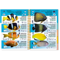 LIVRE PICTOLIFE OCEAN INDIEN ET MER ROUGE Immergeable -Équipement De Plongée LIVRE PICTOLIFE OCEAN INDIEN ET MER ROUGE immergeable 97 1