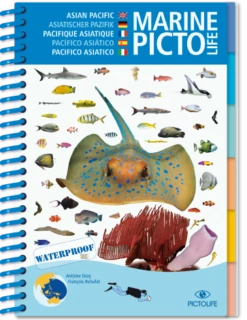 LIVRE PICTOLIFE PACIFIQUE ASIATIQUE Immergeable